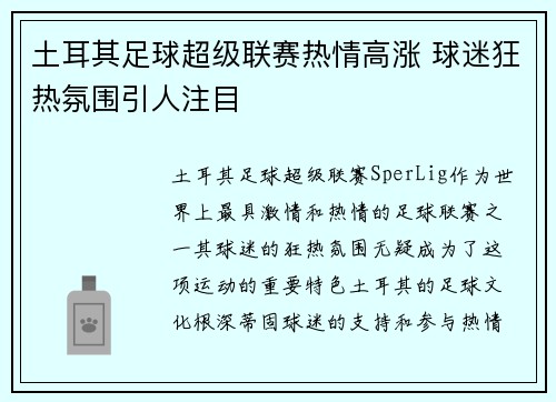 土耳其足球超级联赛热情高涨 球迷狂热氛围引人注目